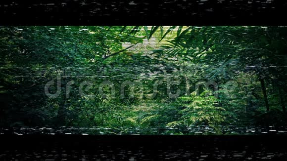 无人机POV在丛林下移动视频的预览图