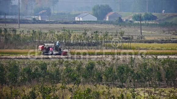 农民在田间用收割机收割小麦视频的预览图