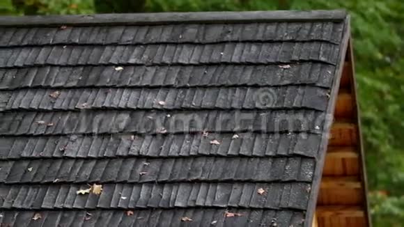 古老的黑色雪松木屋顶有枯萎的叶子视频的预览图