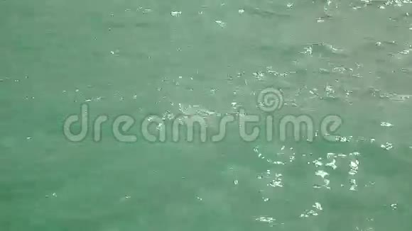 日内瓦湖的绿松石水视频的预览图