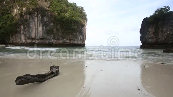 沙漠海滩上被海浪冲走的漂流木视频的预览图