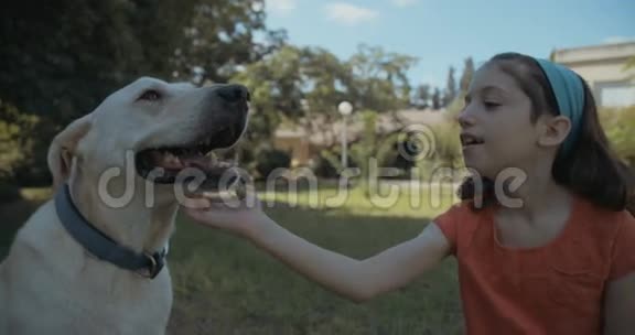 小女孩和一只大白狗玩视频的预览图