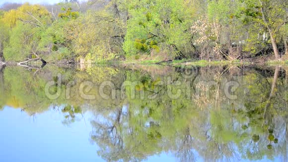 河岸上的树木和水中的倒影春天视频的预览图