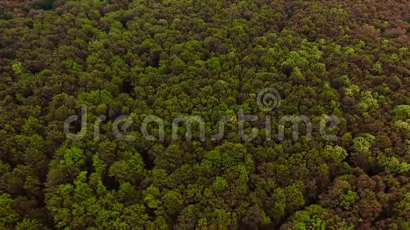 4乡村风景中飞过一片美丽的绿色森林的K航空视频的预览图