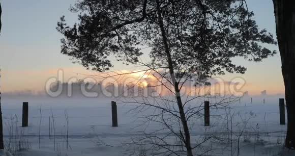 户外冬季日出视频的预览图