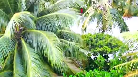 美丽的热带马尔代夫岛屿白色沙滩和海洋在阳光日为假日夏季假期视频的预览图