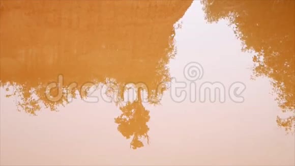 橙水中树和山的倒影视频的预览图