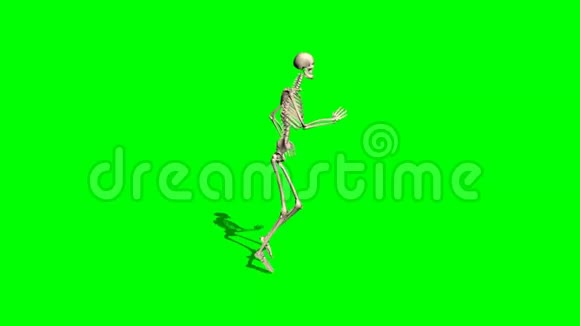 骨架运行绿色屏幕视频的预览图
