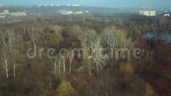 回声公园湖上空的空中镜头视频的预览图