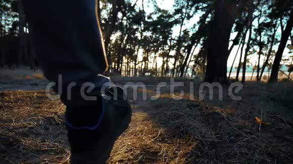两名男性生活方式的运动员在大自然中跑来跑去在松林里做运动慢动作视频视频的预览图