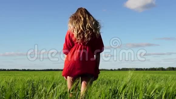 快乐的女人享受自然美丽的金发在田野上摆姿势自由概念视频的预览图