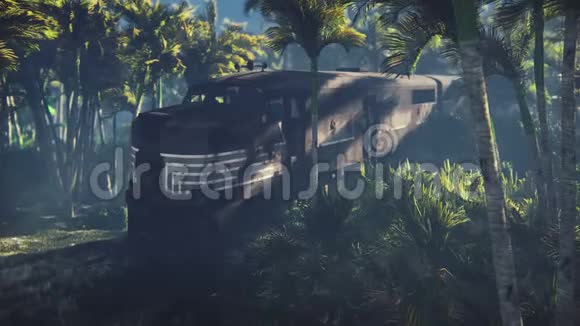 失事的火车位于棕榈树和热带植被中间的丛林中视频的预览图