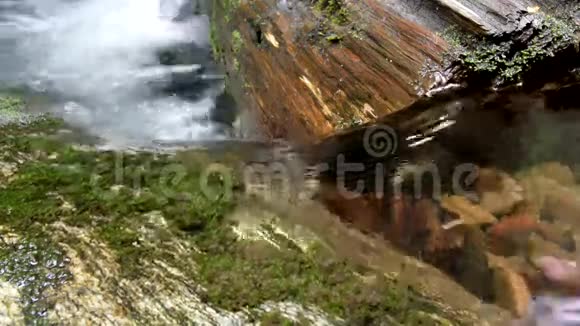 溪中水旋流过去淹没的原木视频的预览图