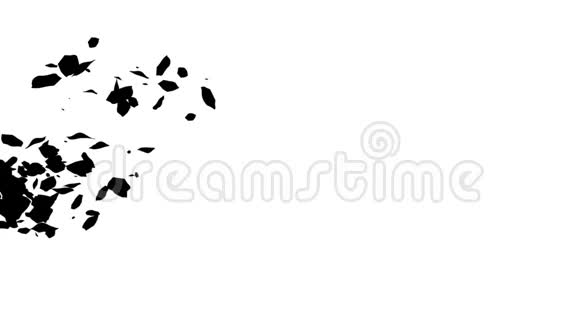 白色背景纹理或背景高清的花瓣视频的预览图