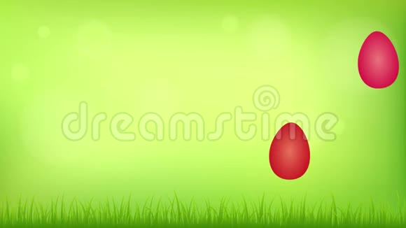 快乐的复活节野兔在五彩缤纷的鸡蛋之间视频的预览图