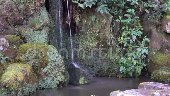 日本京都金阁寺花园视频的预览图