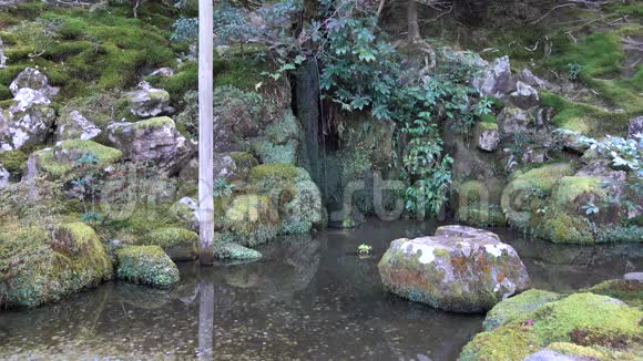 日本京都金阁寺花园视频的预览图