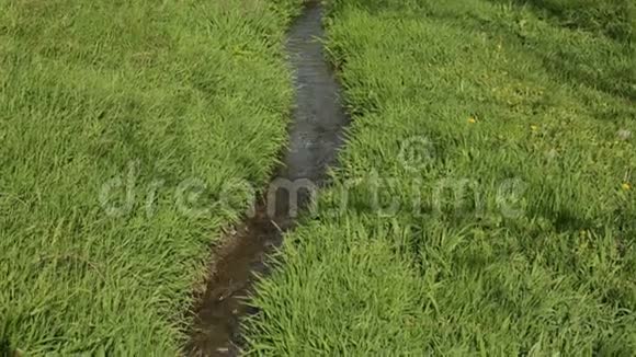绿色草地上的河流视频的预览图