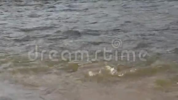 水流在河上激起波浪和涟漪视频的预览图