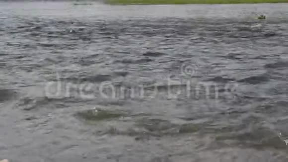 水流在河上激起波浪和涟漪视频的预览图