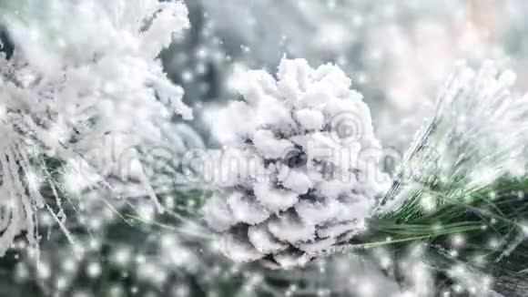 自然圣诞新年玩具松果和圣诞树树枝视频的预览图