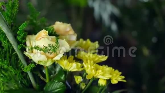 特写花束在光线的照射下旋转花的组成由斯特里西亚玫瑰组成视频的预览图