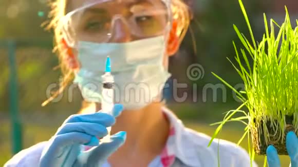 戴着护目镜和面具的女科学家检查了土壤和植物的样本视频的预览图