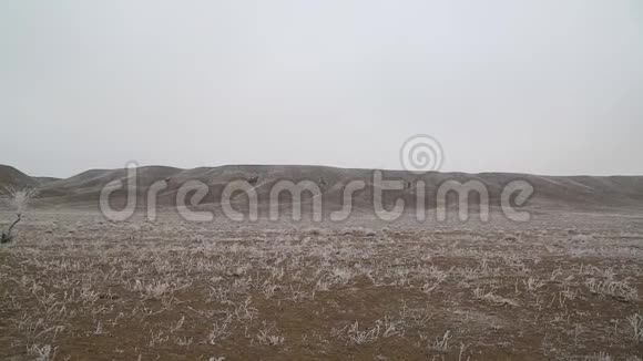 冬季自然背景哈萨克土地视频的预览图