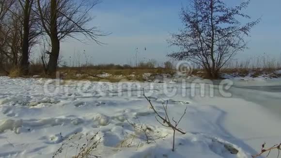 田野里绿草如茵白雪皑皑俄罗斯户外枯死的树木冬天的风景户外的安定视频的预览图