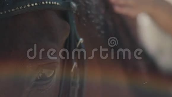 马具里的马军官骑在马鞍上的骑士视频的预览图
