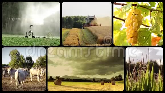 乡村生活与农耕蒙太奇视频的预览图