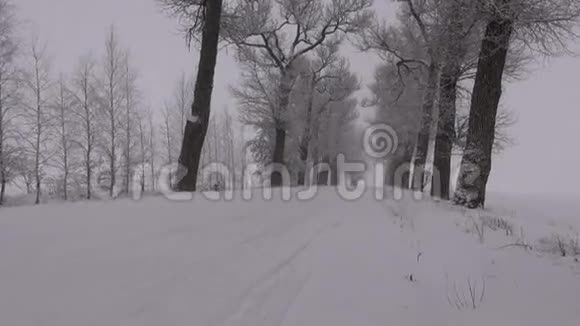 一辆车开着白雪皑皑的老农村公路车上有树巷和晨雾视频的预览图