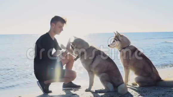 年轻的男性在海滩上训练他的狗慢动作视频的预览图