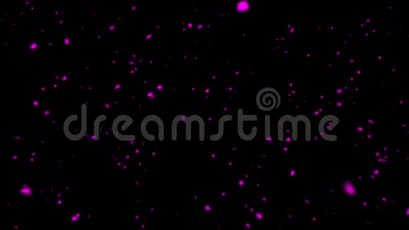 紫色雪花落向凸轮可循环覆盖单元视频的预览图