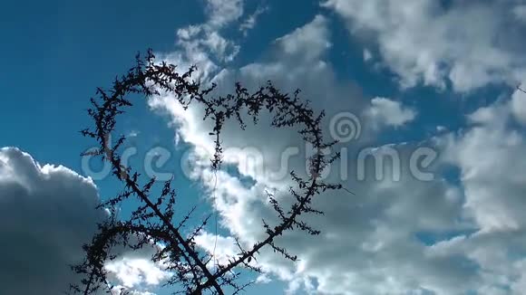 植物和云的心脏形态视频的预览图
