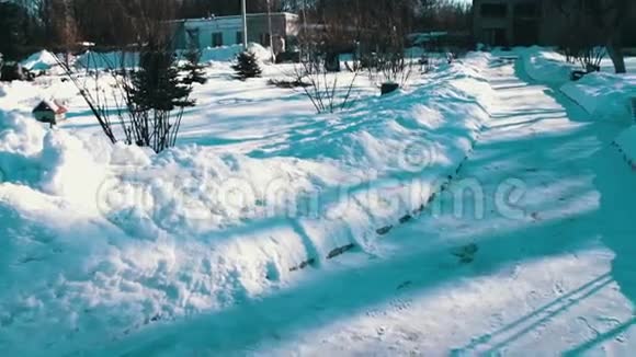 公园的雪覆盖人行道视频的预览图