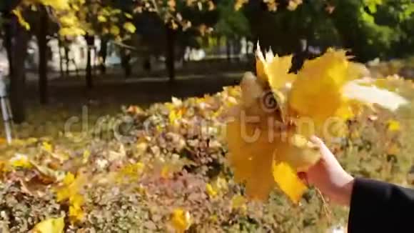 快乐的女孩走在秋天公园收集视频的预览图
