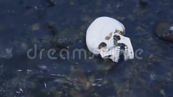 在河里关上骷髅水上死亡的概念视频的预览图