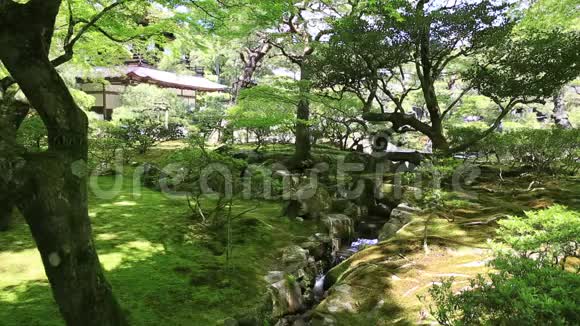 金阁寺京都视频的预览图