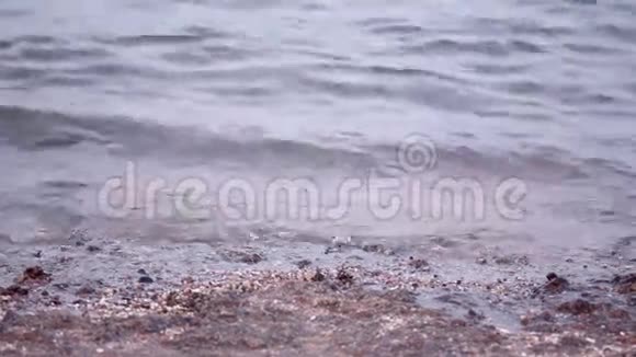 清澈的海面背景录像视频的预览图