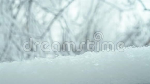 寒冷平静的冬日在雪林中视频的预览图