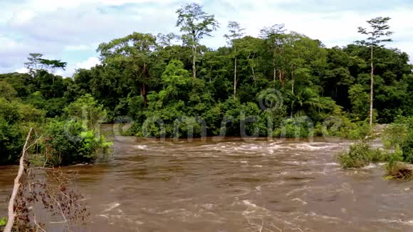 非洲丛林中热带河流的全景视频的预览图