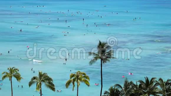 海滩度假天堂冲浪视频的预览图