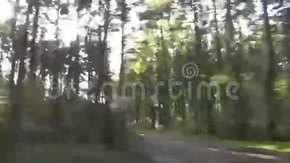 模糊速度背景车窗外的森林视频的预览图