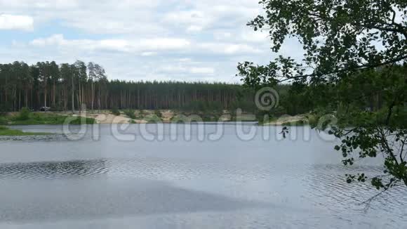 俄罗斯夏季的池塘森林视频的预览图