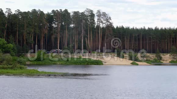 俄罗斯夏季的池塘森林视频的预览图