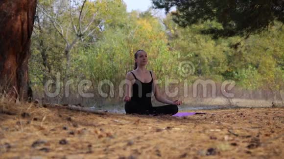 美丽的女性在森林里做瑜伽视频的预览图