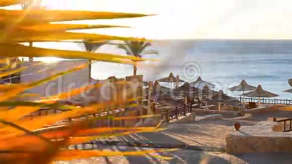 海滩上的雨伞红海视频的预览图