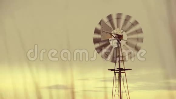 绿色风能夕阳下的老式农场风车视频的预览图