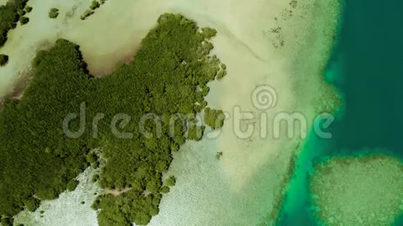 岛跳跃旅游在本田湾巴拉望有红树林的白沙岛带白色岛屿的环礁从视频的预览图